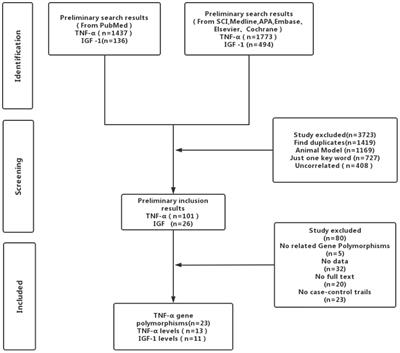 TNF-α (G-308A) Polymorphism, Circulating Levels of TNF-α and IGF-1: Risk Factors for Ischemic Stroke—An Updated Meta-Analysis